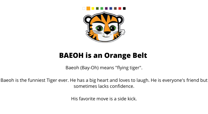 orange-belt-1